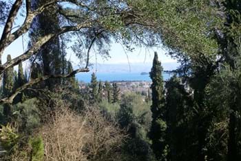 Image for property: 11017