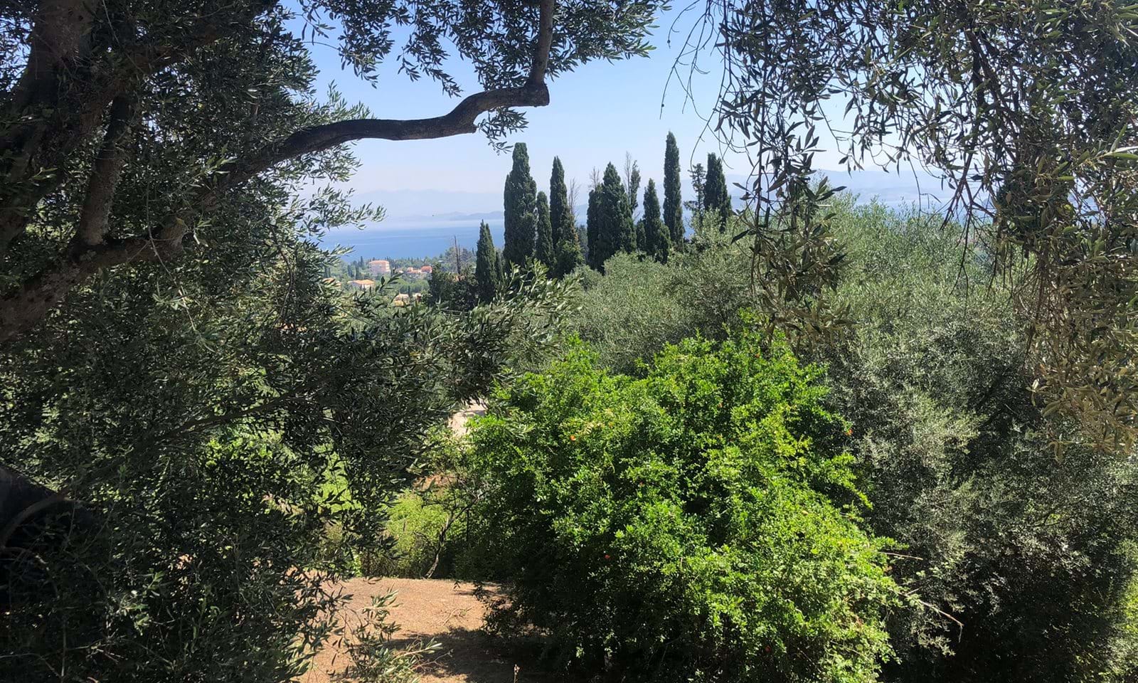 Listing photograph 3 of 10 of the land in Evropouli, published by Corfu Home Finders.
