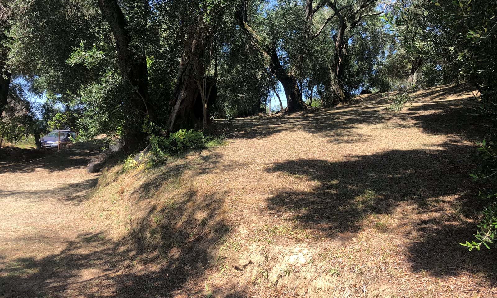 Listing photograph 10 of 10 of the land in Evropouli, published by Corfu Home Finders.