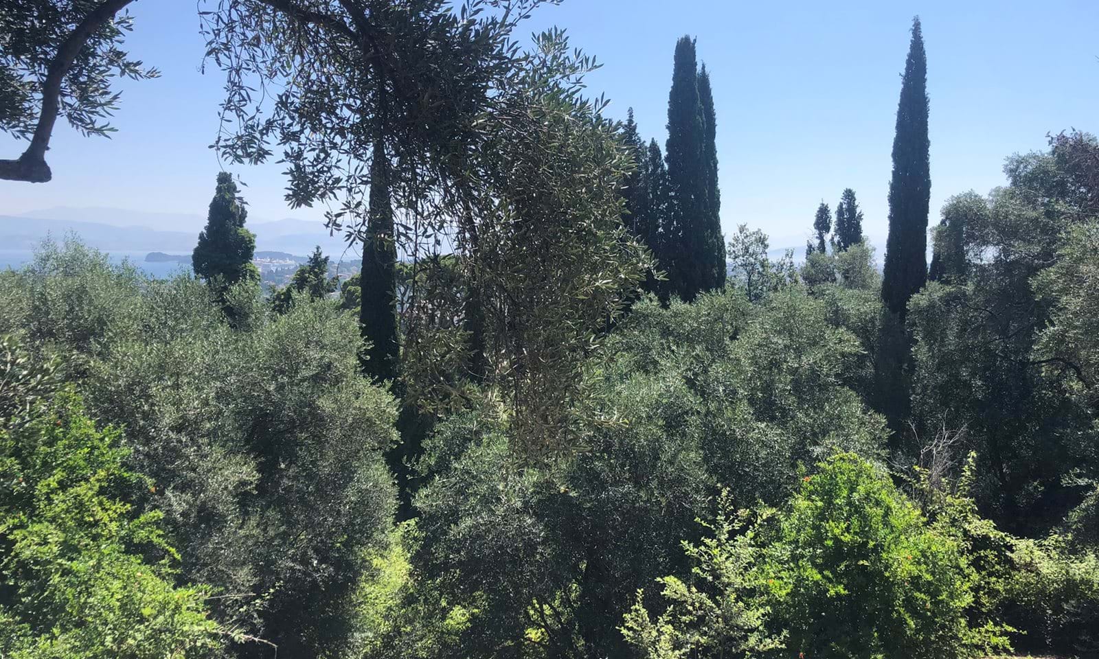 Listing photograph 2 of 10 of the land in Evropouli, published by Corfu Home Finders.