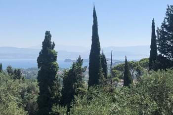 Image for property: 11017
