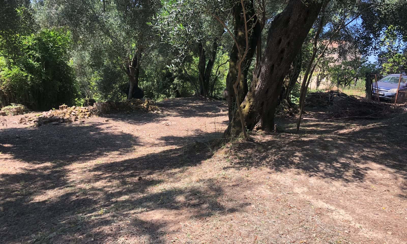 Listing photograph 9 of 10 of the land in Evropouli, published by Corfu Home Finders.
