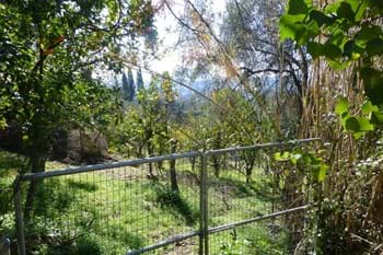Image for property: 11019