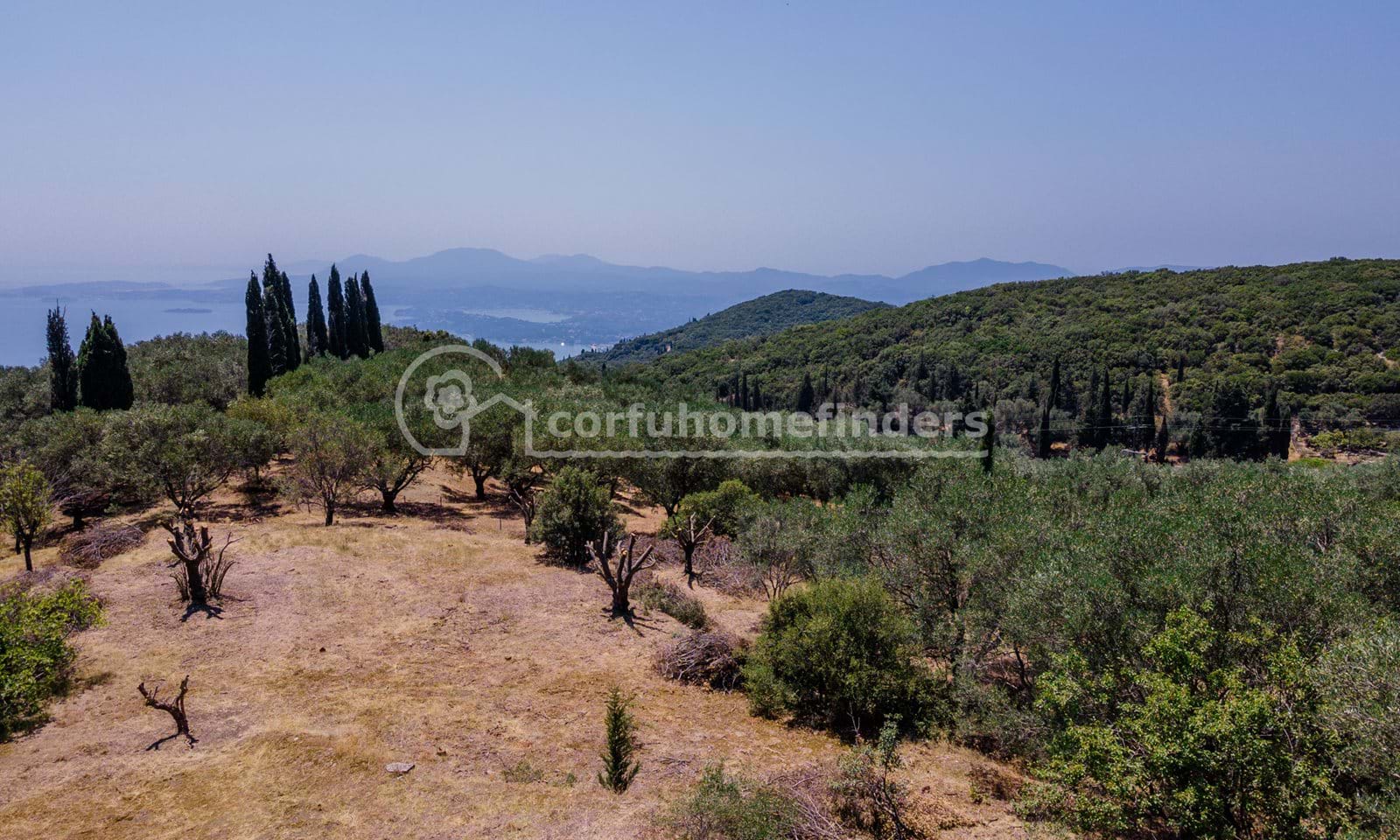 Listing photograph 4 of 12 of the land in Spartilas, published by Corfu Home Finders.