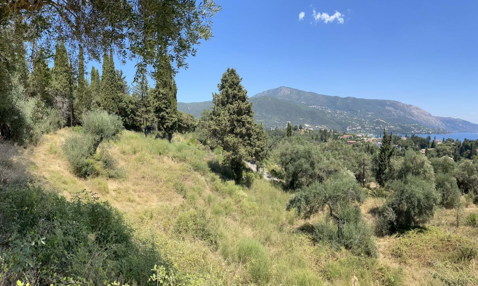 Listing photograph 4 of 4 of the land in Kato Korakiana, published by Corfu Home Finders.