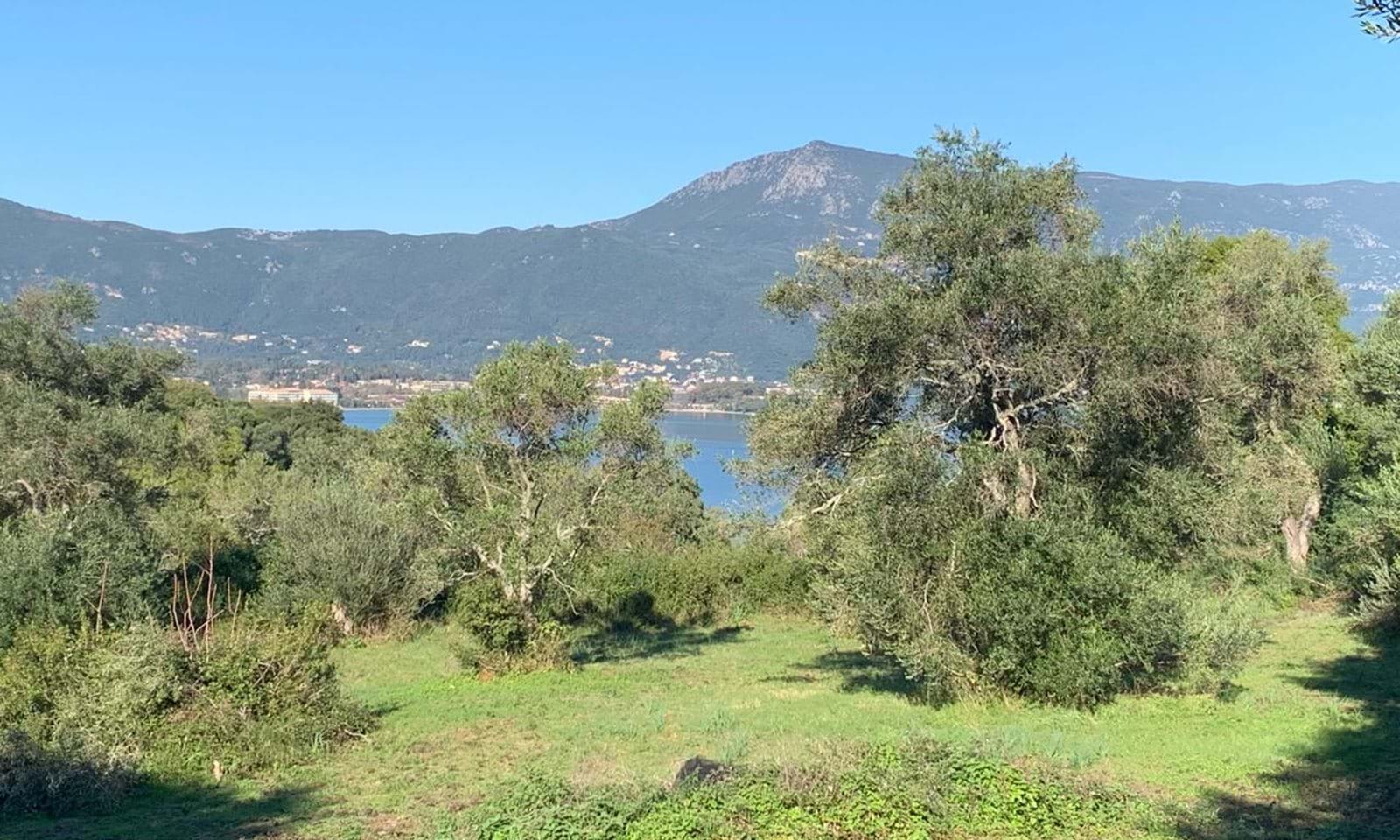 Listing photograph 1 of 4 of the land in Kommeno, published by Corfu Home Finders.