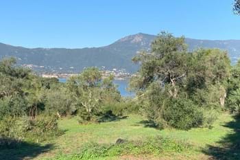 Image for property: 11083