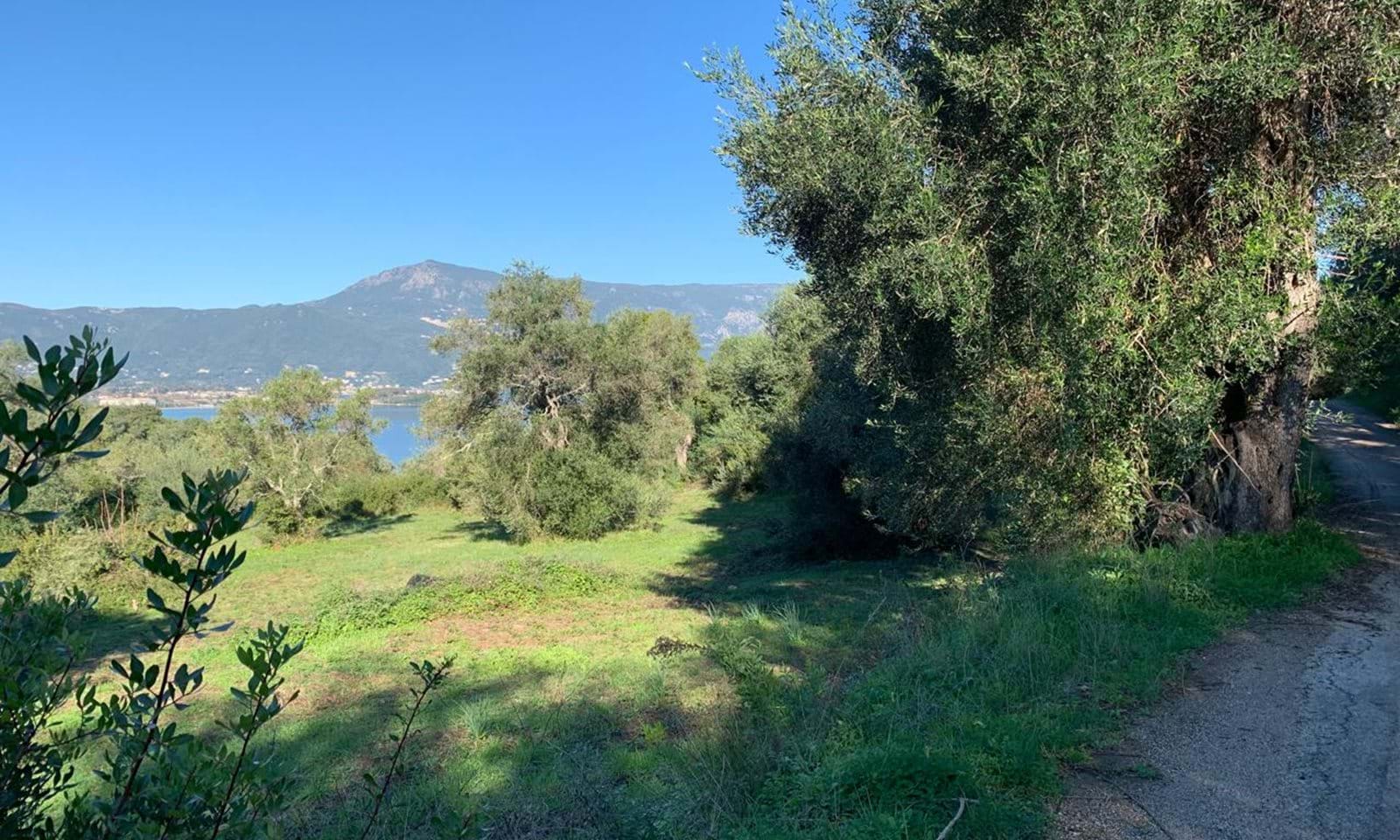 Listing photograph 2 of 4 of the land in Kommeno, published by Corfu Home Finders.