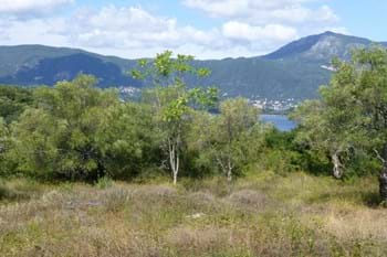 Image for property: 11083