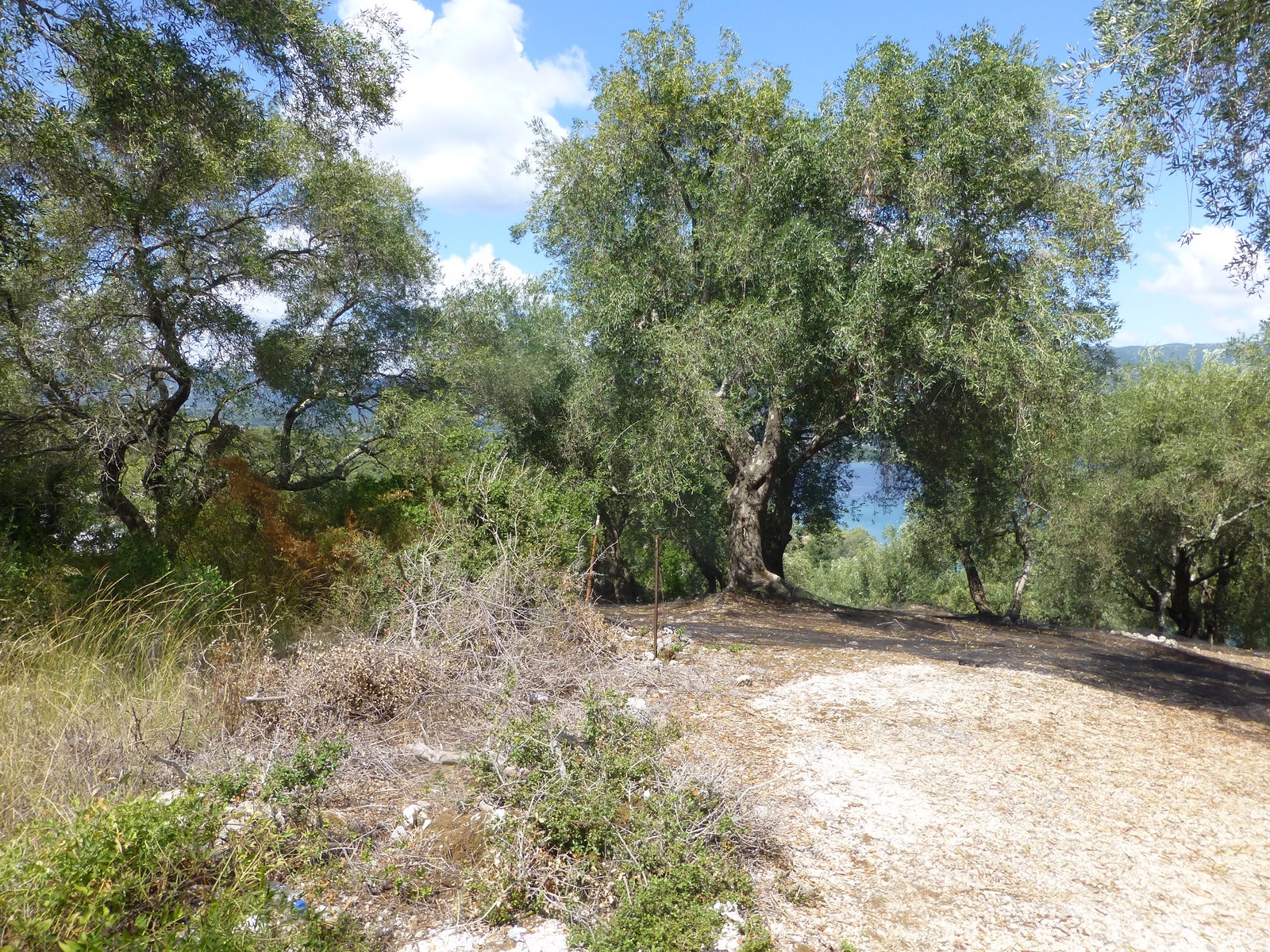 DAPHNILA BAY LAND, Kommeno, Corfu