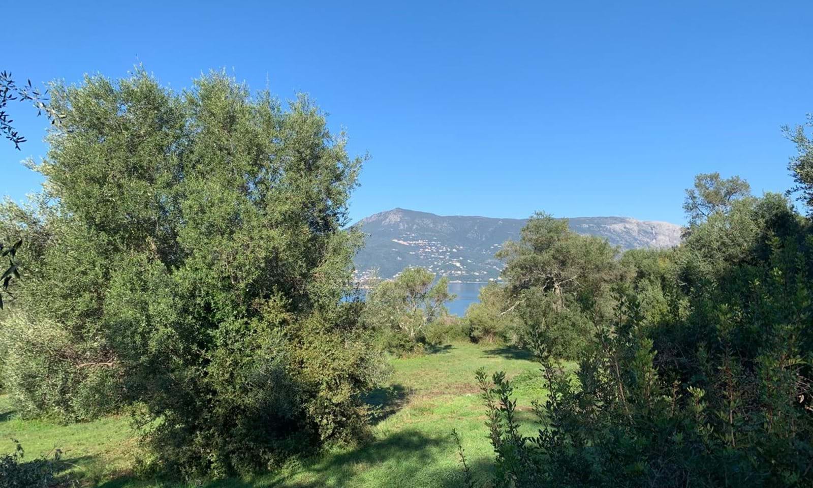 Listing photograph 3 of 4 of the land in Kommeno, published by Corfu Home Finders.