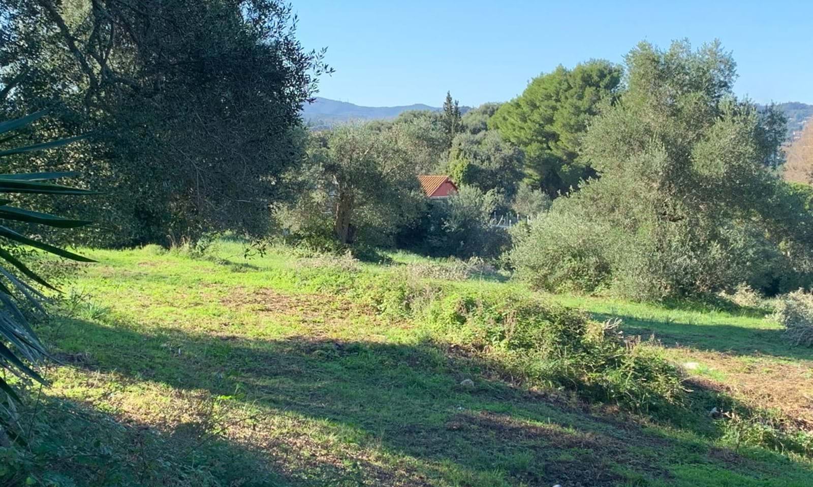 Listing photograph 4 of 4 of the land in Kommeno, published by Corfu Home Finders.