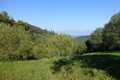 Building land for sale in Corfu