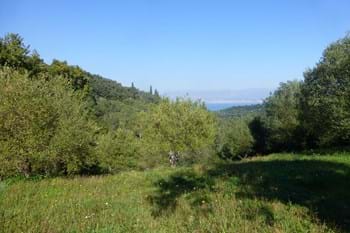 Image for property: 11098