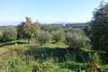 Land for sale in North East Corfu