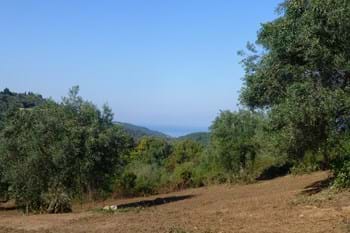 Image for property: 11100