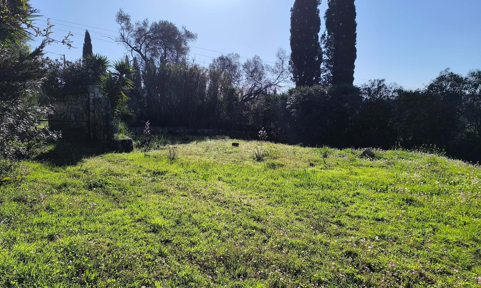 Listing photograph 3 of 3 of the land in Ano Korakiana, published by Corfu Home Finders.