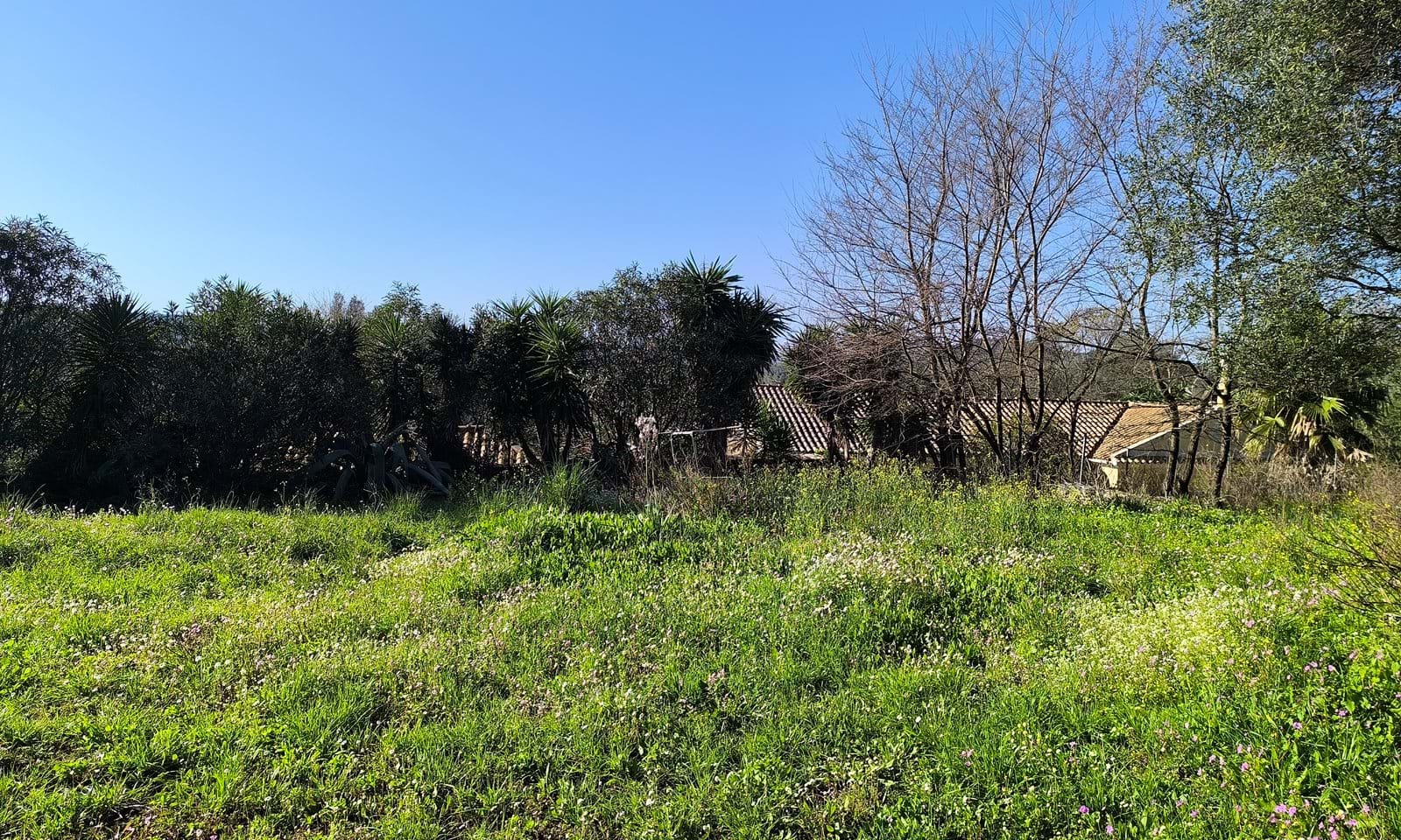 Listing photograph 1 of 3 of the land in Ano Korakiana, published by Corfu Home Finders.