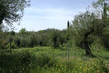 Image for property: 11118