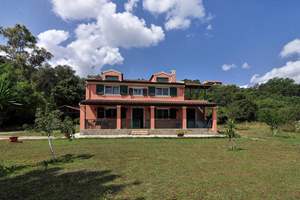 FIG TREES, Dassia, Corfu