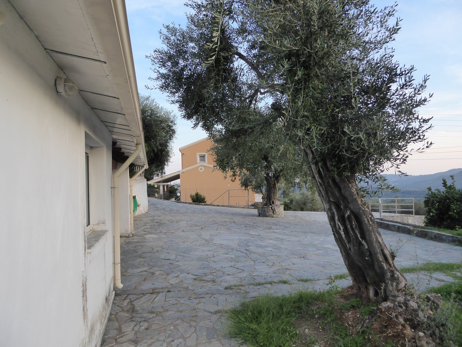 EDDAS HOUSE, Skripero, Corfu