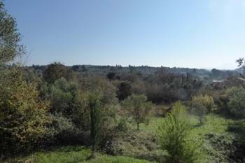 Image for property: 11224