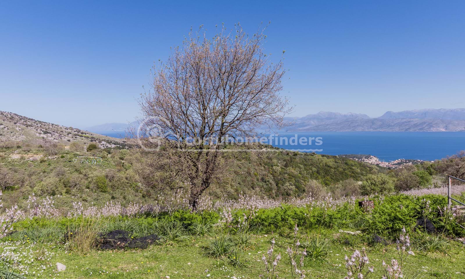 Listing photograph 5 of 15 of the land in Kassiopi, published by Corfu Home Finders.