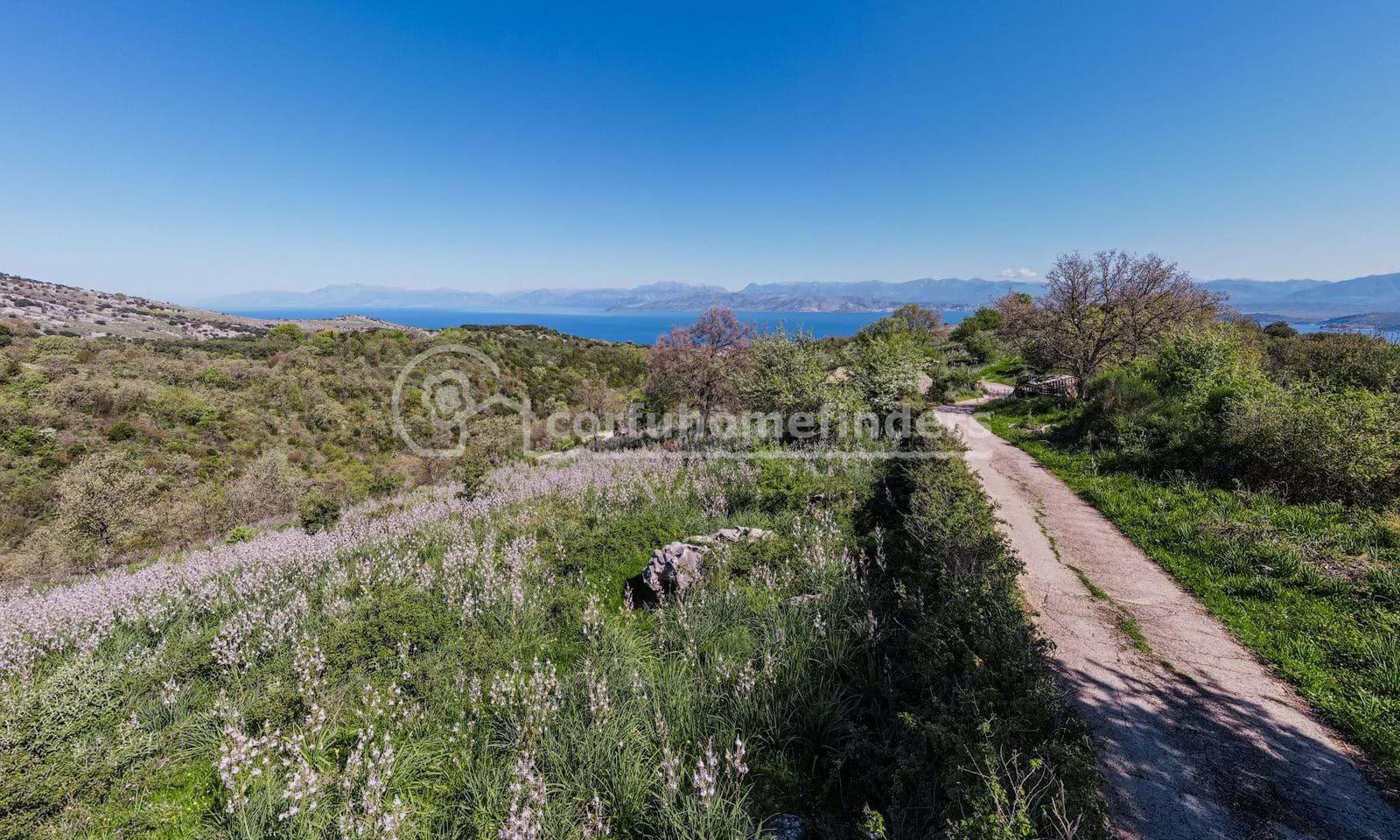 Listing photograph 6 of 15 of the land in Kassiopi, published by Corfu Home Finders.