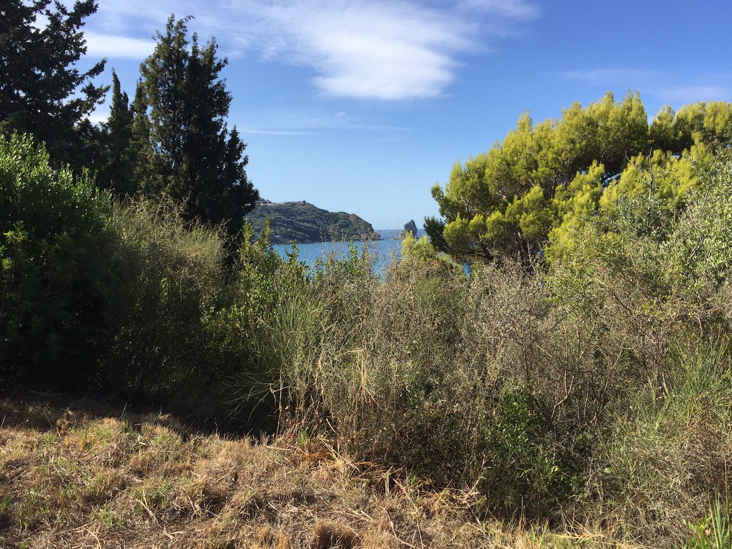 AGIOS GORDIS BEACHFRONT LAND, Agios Gordis, Corfu