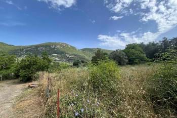 Image for property: 11347