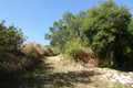 Property for sale in North East Corfu