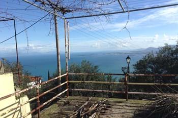 Image for property: 11379