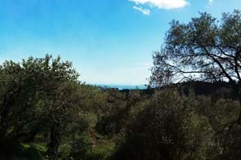 Image for property: 11387