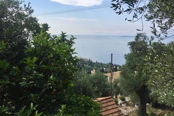 Image for property: 11412