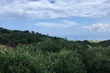 Image for property: 11425
