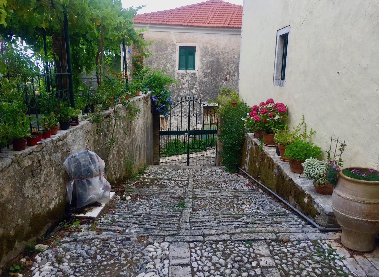 VILLA ALEXINA, Perithia, Corfu