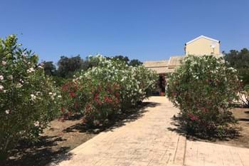 Image for property: 11471