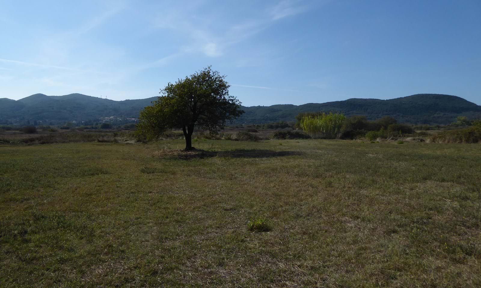 Listing photograph 1 of 6 of the land in Giannades, published by Corfu Home Finders.