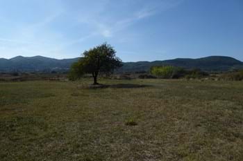 Image for property: 11477