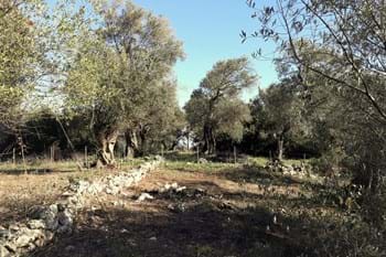 Image for property: 11489