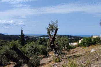 Image for property: 11530