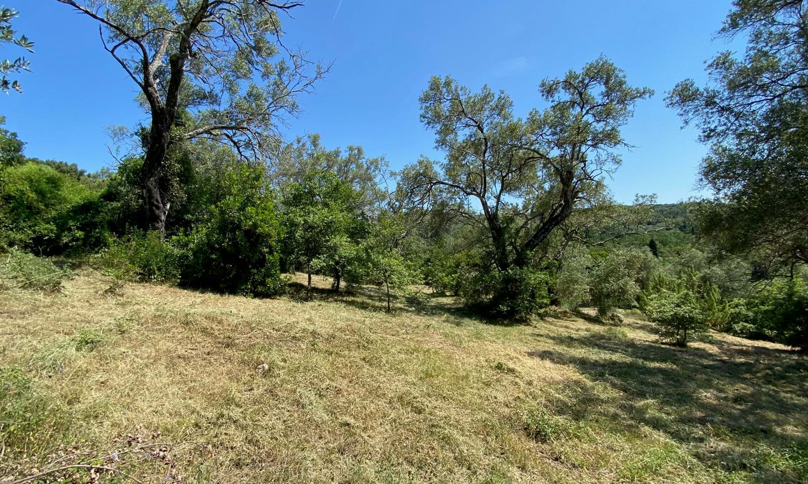Listing photograph 4 of 5 of the land in Ano Korakiana, published by Corfu Home Finders.