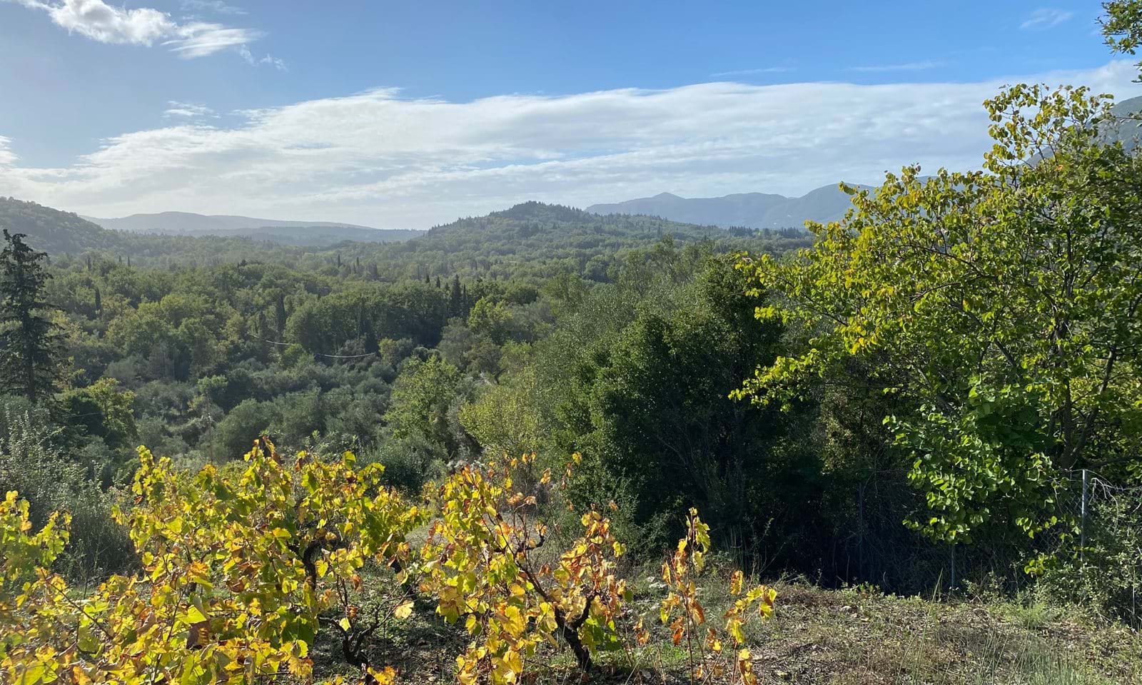 Listing photograph 2 of 5 of the land in Ano Korakiana, published by Corfu Home Finders.