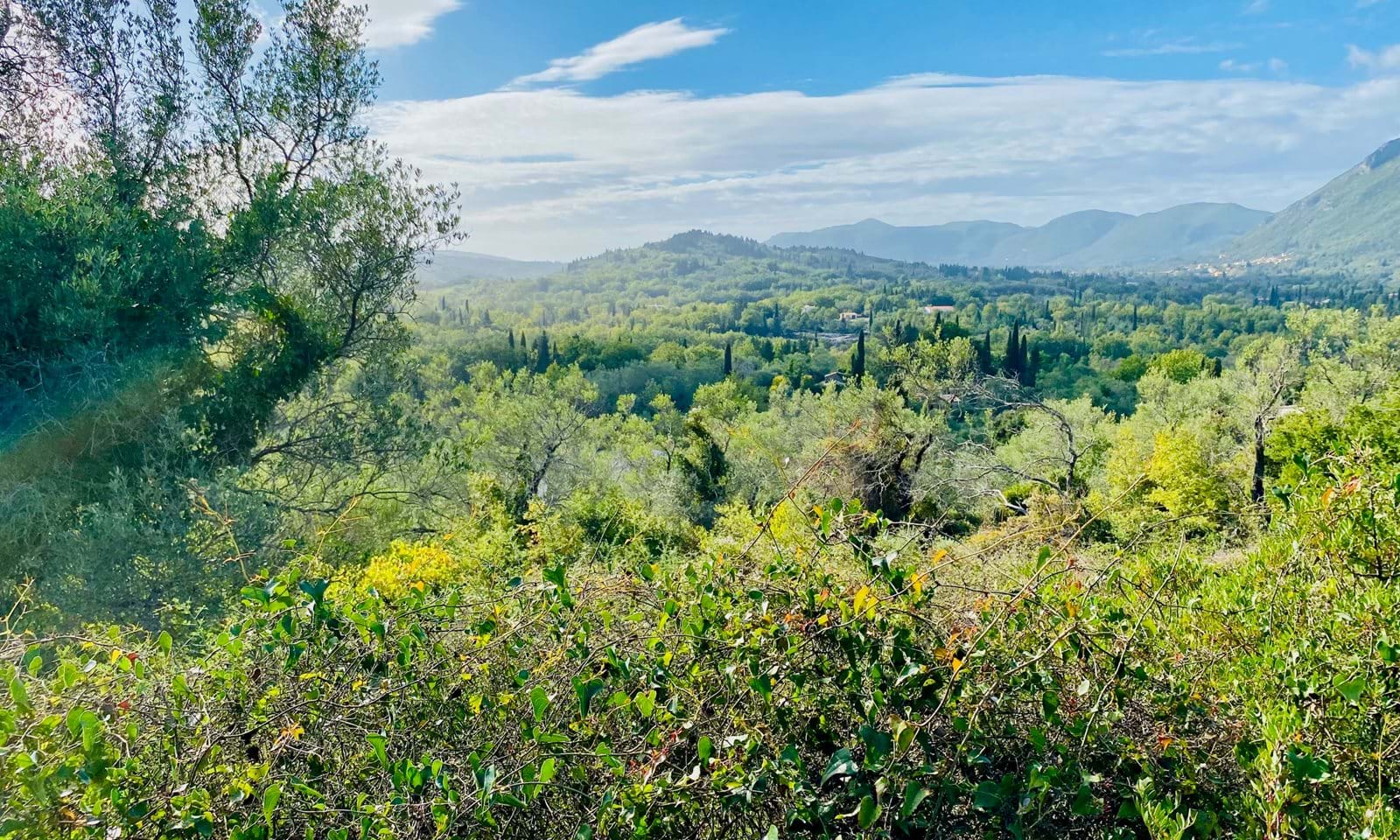 Listing photograph 1 of 5 of the land in Ano Korakiana, published by Corfu Home Finders.