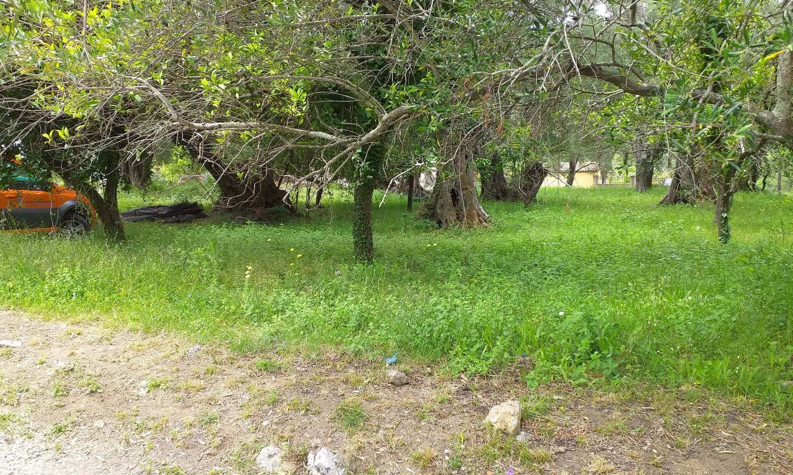Listing photograph 4 of 4 of the land in Doukades, published by Corfu Home Finders.