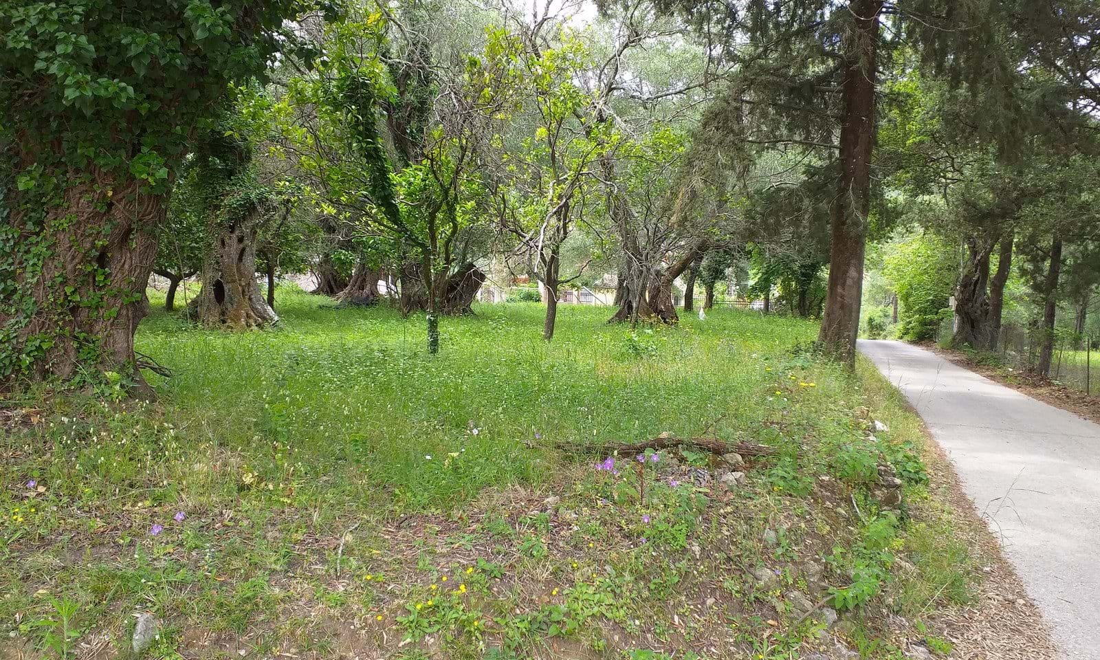 Listing photograph 1 of 4 of the land in Doukades, published by Corfu Home Finders.