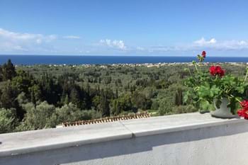 Image for property: 12556