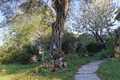 Image for property 12559