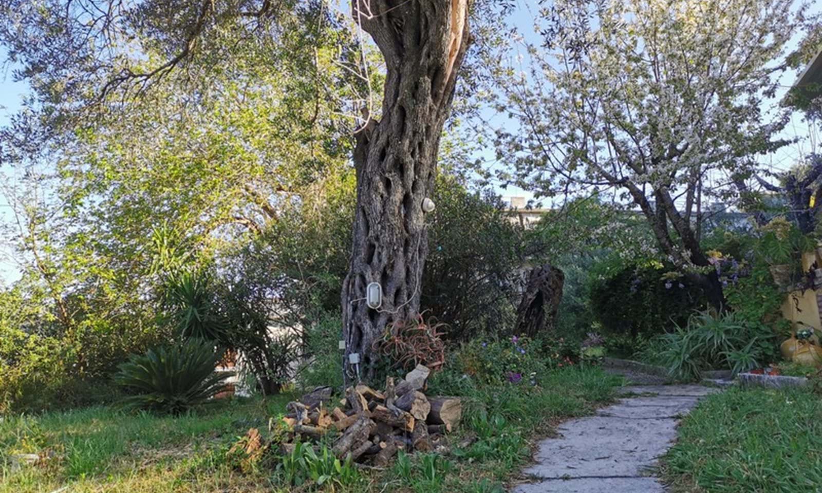 Listing photograph 6 of 17 of the land in Corfu Town, published by Corfu Home Finders.