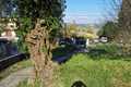 Image for property 12559